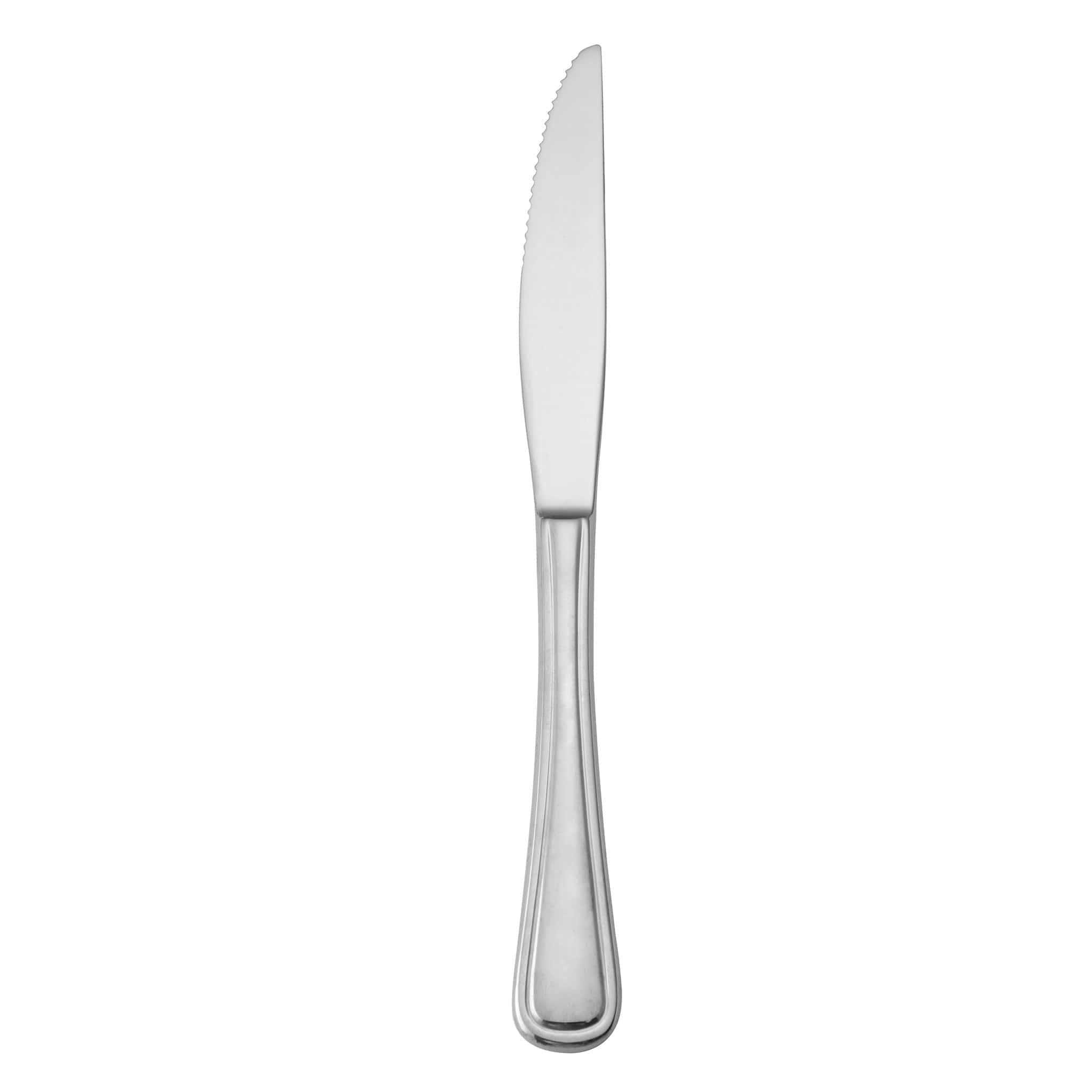 Mikasa Rim 18/10 Steak Knife 9.5" Stainless Steel