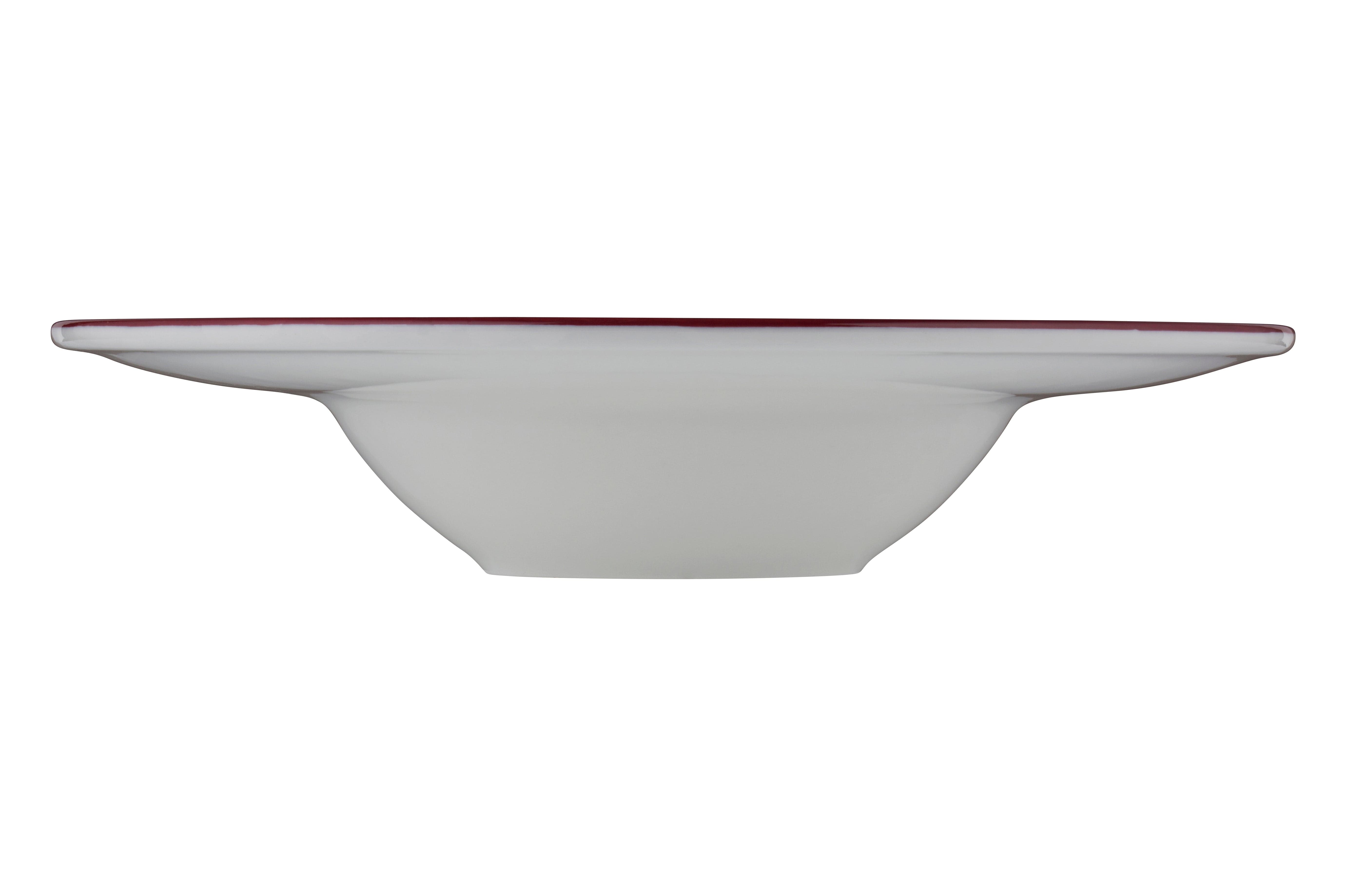 Modest Maroon Fine China Deep Plate 11.4"