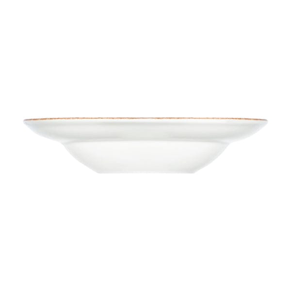 Delta Brown Fine China Deep Plate 11.1" / 19 oz