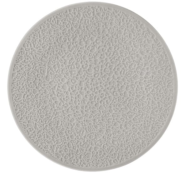 Nori Grey Porcelain Coupe Plate 10.4"