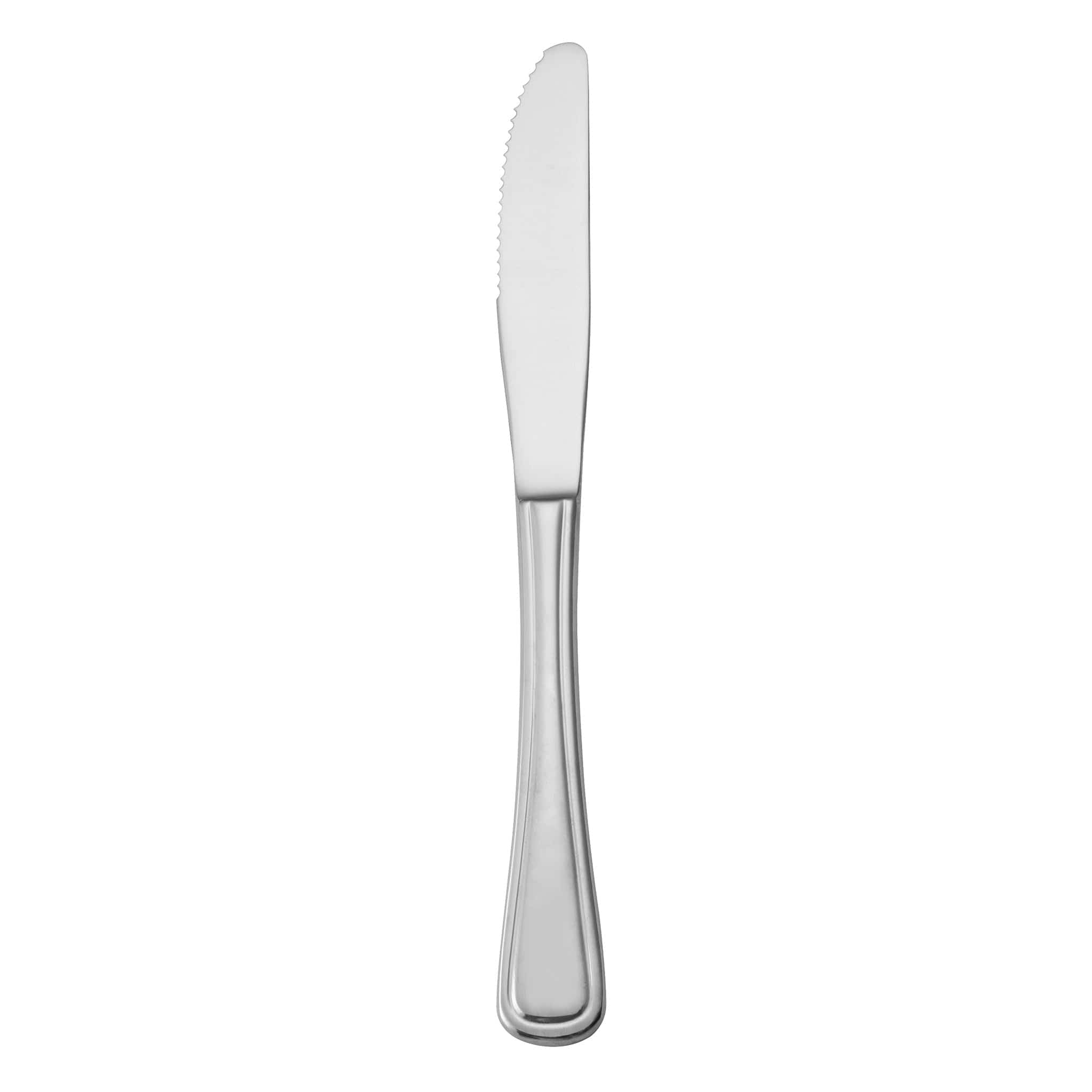 Mikasa Rim 18/10 Table Knife 9.1" Stainless Steel