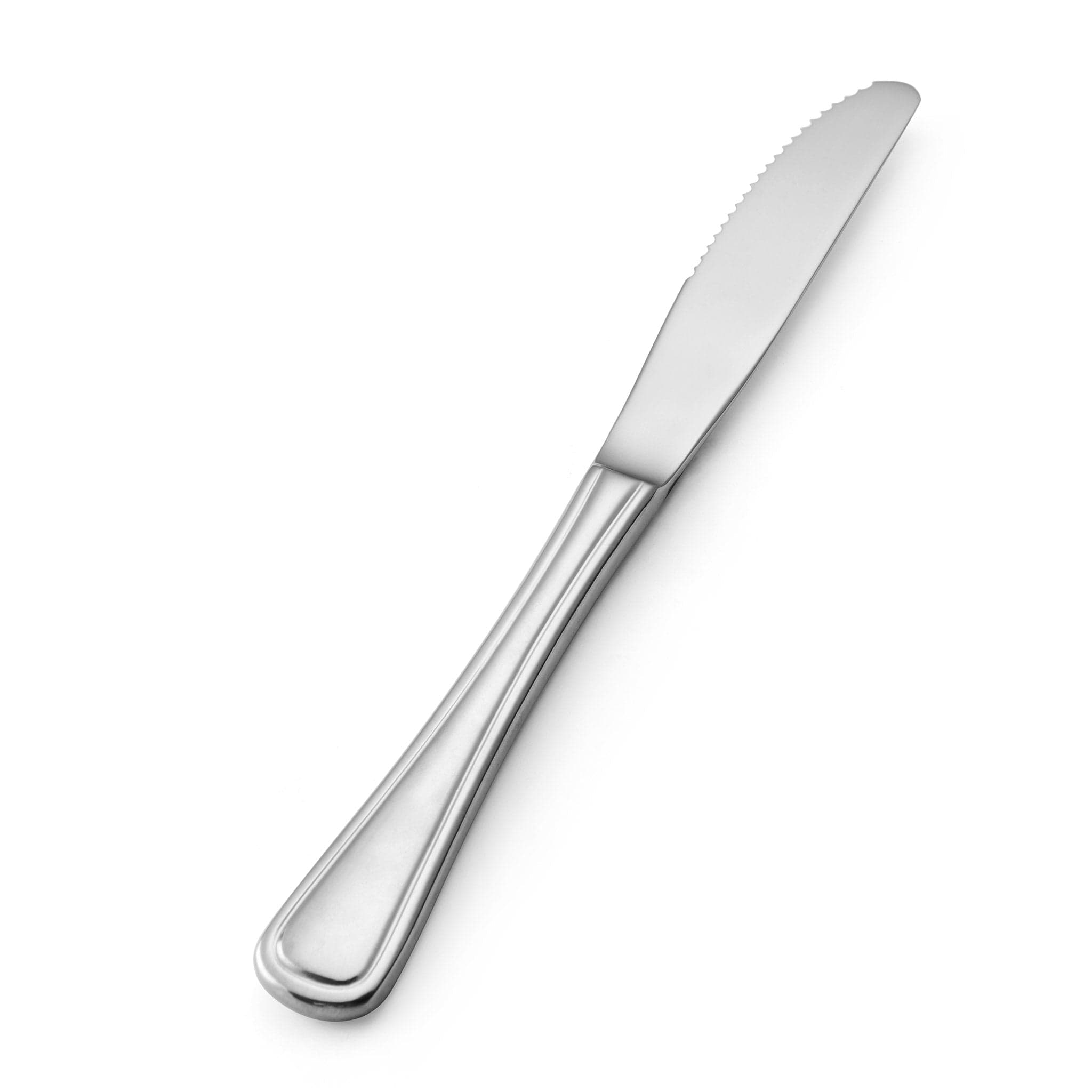 Mikasa Rim 18/10 Table Knife 9.1" Stainless Steel